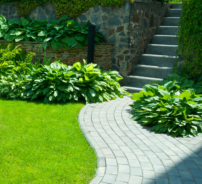 A garden path in a green garden
